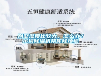 常見問題別墅濕度比較大，怎么辦？吊頂除濕機(jī)幫你除煩惱
