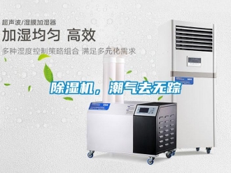 常見問題除濕機(jī)，潮氣去無蹤