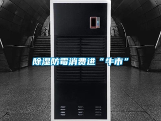 常見(jiàn)問(wèn)題除濕防霉消費(fèi)進(jìn)“牛市”