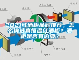 常見問題2021紅酒柜品牌推薦，怎么挑選真恒溫紅酒柜？酒柜是否有必要？