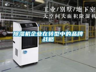 企業(yè)新聞除濕機(jī)企業(yè)在轉(zhuǎn)型中的品牌戰(zhàn)略