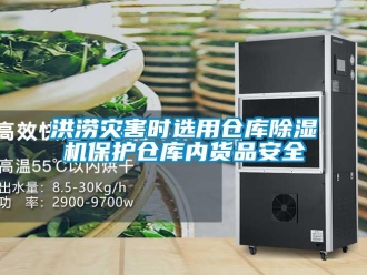 行業(yè)新聞洪澇災(zāi)害時選用倉庫除濕機保護倉庫內(nèi)貨品安全