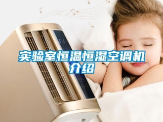 知識百科實(shí)驗(yàn)室恒溫恒濕空調(diào)機(jī)介紹