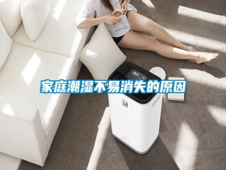 行業(yè)新聞家庭潮濕不易消失的原因