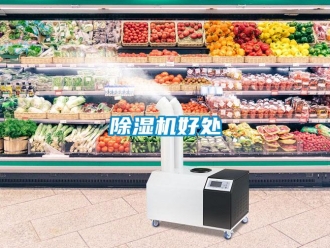 常見(jiàn)問(wèn)題除濕機(jī)好處