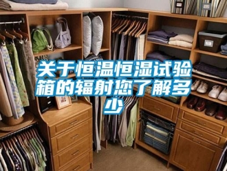 知識(shí)百科關(guān)于恒溫恒濕試驗(yàn)箱的輻射您了解多少