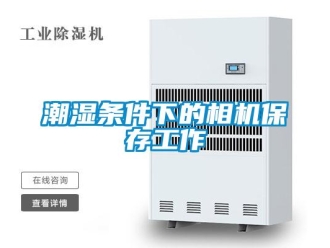 企業(yè)新聞潮濕條件下的相機(jī)保存工作