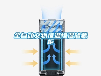 知識(shí)百科全自動(dòng)文物恒溫恒濕儲(chǔ)藏柜