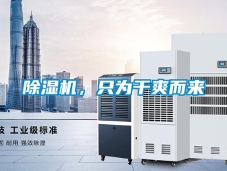 常見問題除濕機(jī)，只為干爽而來