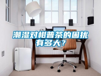 企業(yè)新聞潮濕對(duì)柑普茶的困擾有多大？