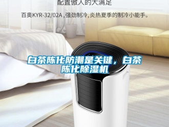 常見問(wèn)題白茶陳化防潮是關(guān)鍵，白茶陳化除濕機(jī)