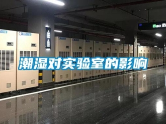 企業(yè)新聞潮濕對(duì)實(shí)驗(yàn)室的影響