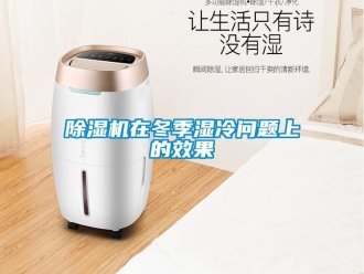 常見問題除濕機在冬季濕冷問題上的效果