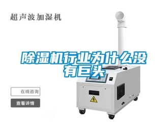 企業(yè)新聞除濕機(jī)行業(yè)為什么沒有巨頭