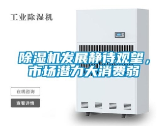 企業(yè)新聞除濕機(jī)發(fā)展靜待觀望，市場(chǎng)潛力大消費(fèi)弱