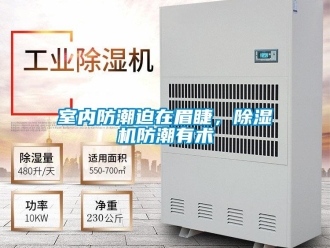 知識(shí)百科室內(nèi)防潮迫在眉睫，除濕機(jī)防潮有術(shù)