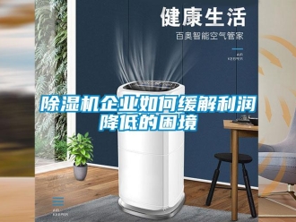 常見問題除濕機(jī)企業(yè)如何緩解利潤降低的困境