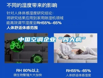 知識(shí)百科中國(guó)空調(diào)企業(yè)“四大病”