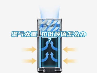 常見問題濕氣太重 拉低顏值怎么辦？