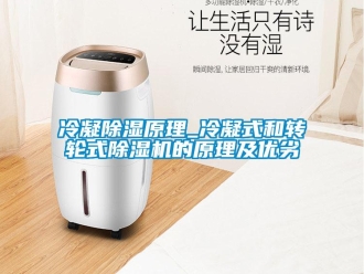 常見(jiàn)問(wèn)題冷凝除濕原理_冷凝式和轉(zhuǎn)輪式除濕機(jī)的原理及優(yōu)劣