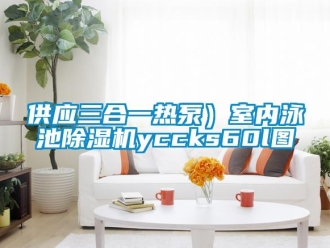 行業(yè)新聞供應三合一熱泵）室內泳池除濕機yccks60l圖