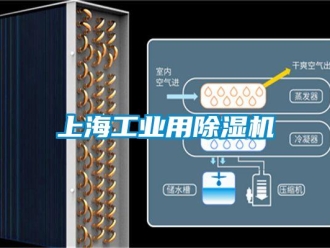 常見問題上海工業(yè)用除濕機(jī)