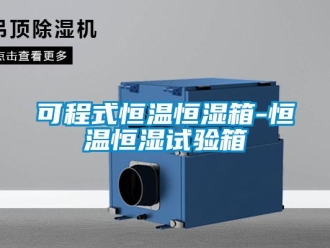 知識百科可程式恒溫恒濕箱-恒溫恒濕試驗(yàn)箱
