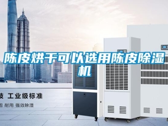 企業(yè)新聞陳皮烘干可以選用陳皮除濕機