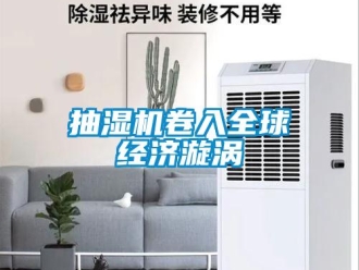 企業(yè)新聞抽濕機卷入全球經(jīng)濟漩渦