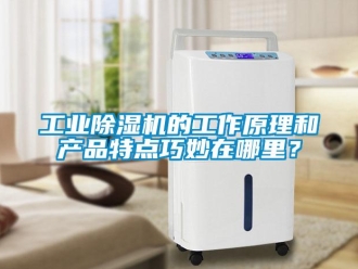 企業(yè)新聞工業(yè)除濕機的工作原理和產(chǎn)品特點巧妙在哪里？