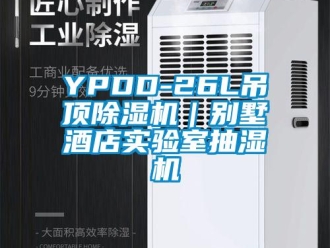 企業(yè)新聞YPDD-26L吊頂除濕機(jī)｜別墅酒店實(shí)驗(yàn)室抽濕機(jī)