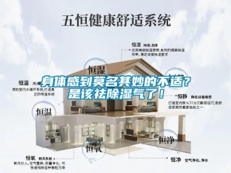 知識(shí)百科身體感到莫名其妙的不適？是該祛除濕氣了！