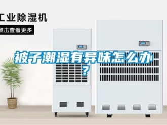 常見問題被子潮濕有異味怎么辦？
