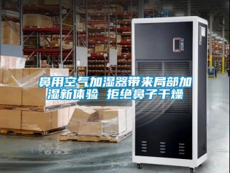 常見問題鼻用空氣加濕器帶來局部加濕新體驗(yàn) 拒絕鼻子干燥