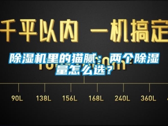 常見問題除濕機(jī)里的貓膩：兩個除濕量怎么選？
