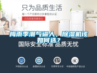 常見(jiàn)問(wèn)題梅雨季潮氣逼人，除濕機(jī)該如何選？