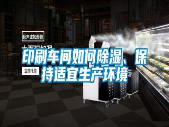 常見問題印刷車間如何除濕、保持適宜生產(chǎn)環(huán)境