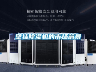 常見問(wèn)題壁掛除濕機(jī)的市場(chǎng)前景