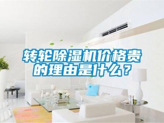 知識(shí)百科轉(zhuǎn)輪除濕機(jī)價(jià)格貴的理由是什么？