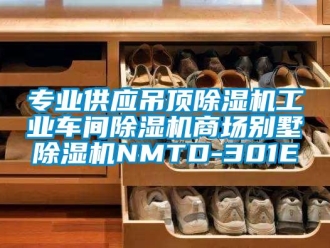 常見問題專業(yè)供應吊頂除濕機工業(yè)車間除濕機商場別墅除濕機NMTD-301E