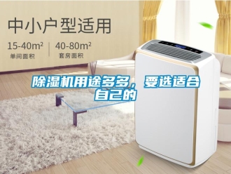 企業(yè)新聞除濕機用途多多，要選適合自己的