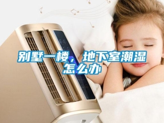 企業(yè)新聞別墅一樓，地下室潮濕怎么辦