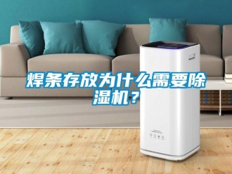 行業(yè)新聞焊條存放為什么需要除濕機？