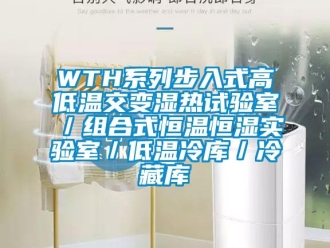 常見問題WTH系列步入式高低溫交變濕熱試驗(yàn)室／組合式恒溫恒濕實(shí)驗(yàn)室／低溫冷庫／冷藏庫