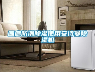 企業(yè)新聞畫廊防潮除濕使用安詩曼除濕機(jī)
