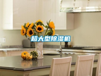 企業(yè)新聞超大型除濕機