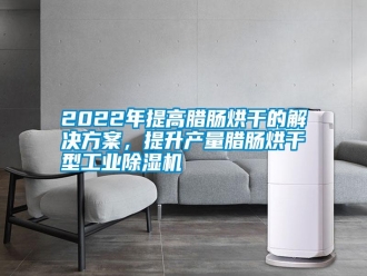 常見問題2022年提高臘腸烘干的解決方案，提升產(chǎn)量臘腸烘干型工業(yè)除濕機