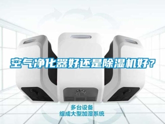 行業(yè)新聞空氣凈化器好還是除濕機好？