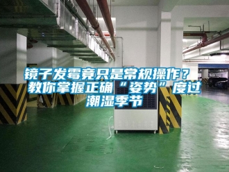 行業(yè)新聞鏡子發(fā)霉竟只是常規(guī)操作？ 教你掌握正確“姿勢(shì)”度過(guò)潮濕季節(jié)