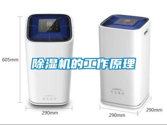 企業(yè)新聞除濕機的工作原理